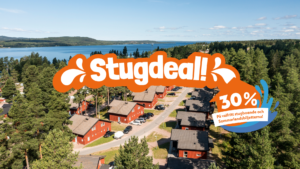 stugdeal