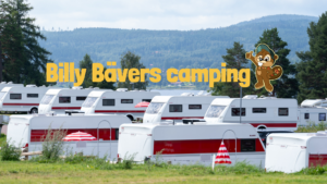 Bra att veta om Billy Bävers camping
