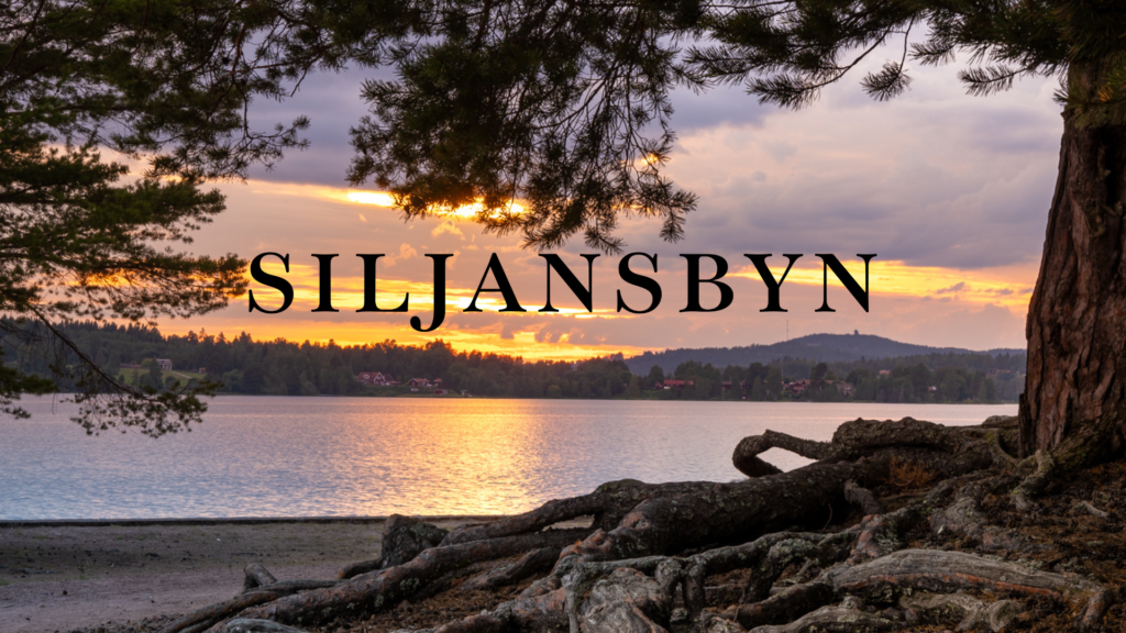 Namnlös design (31)